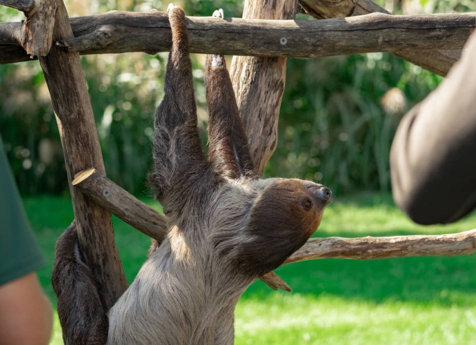 Animal Encounters