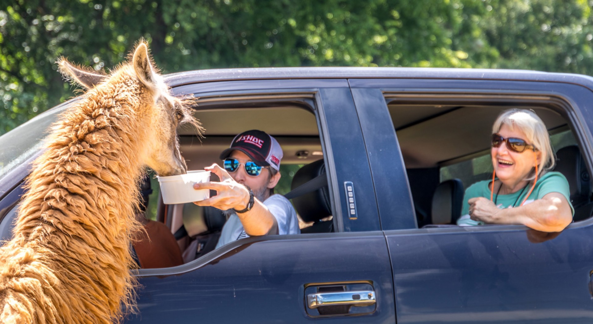 drive through safari norfolk